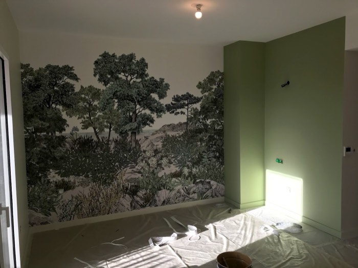 Panoramique forêt et mur vert sauge, avant l'arrivée du mobilier