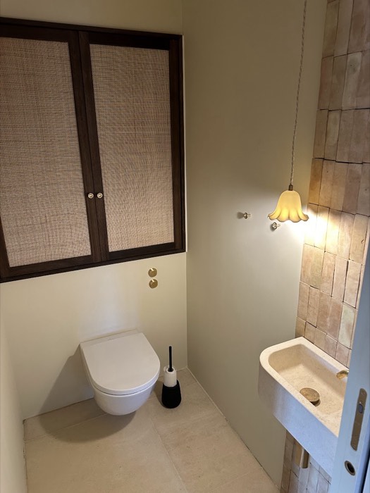 WC suspendu, pan de zelliges et placard aux portes cannées